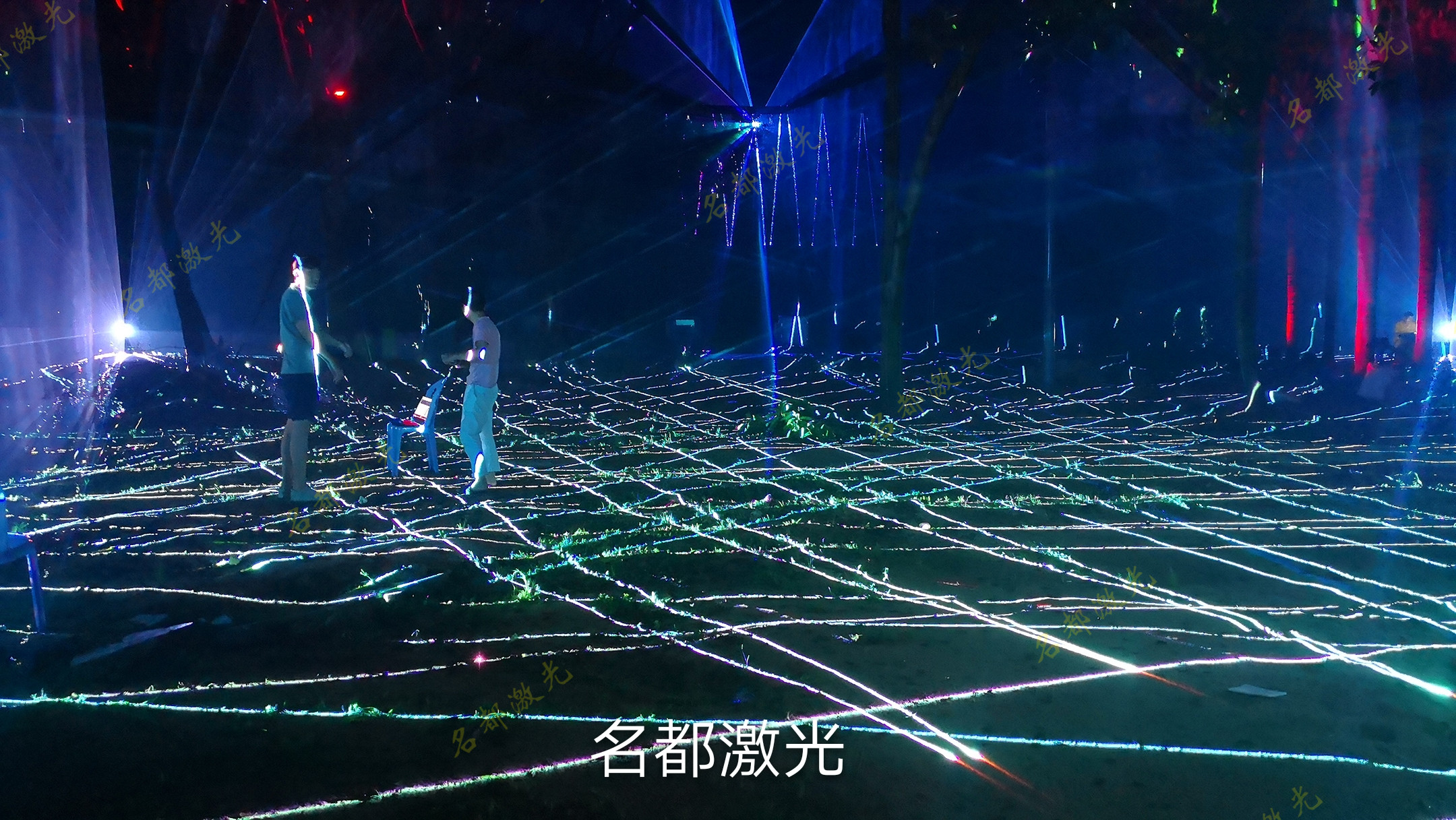 福建漳州东南花都魔幻森林光影灯光秀工程(图8)