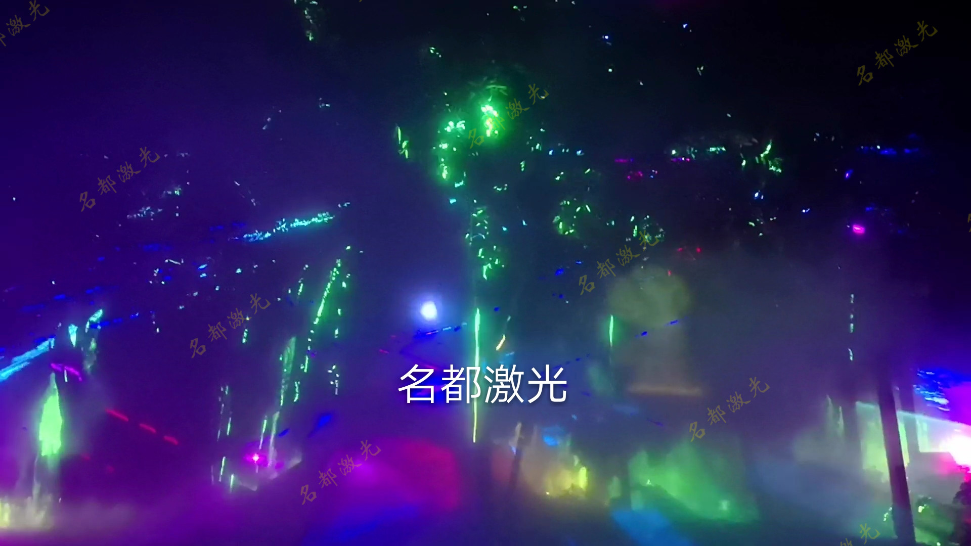 福建漳州东南花都魔幻森林光影灯光秀工程(图11)